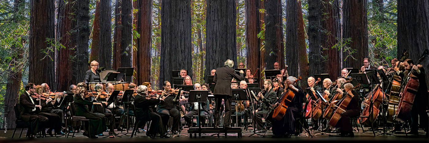 Live Symphony Music
